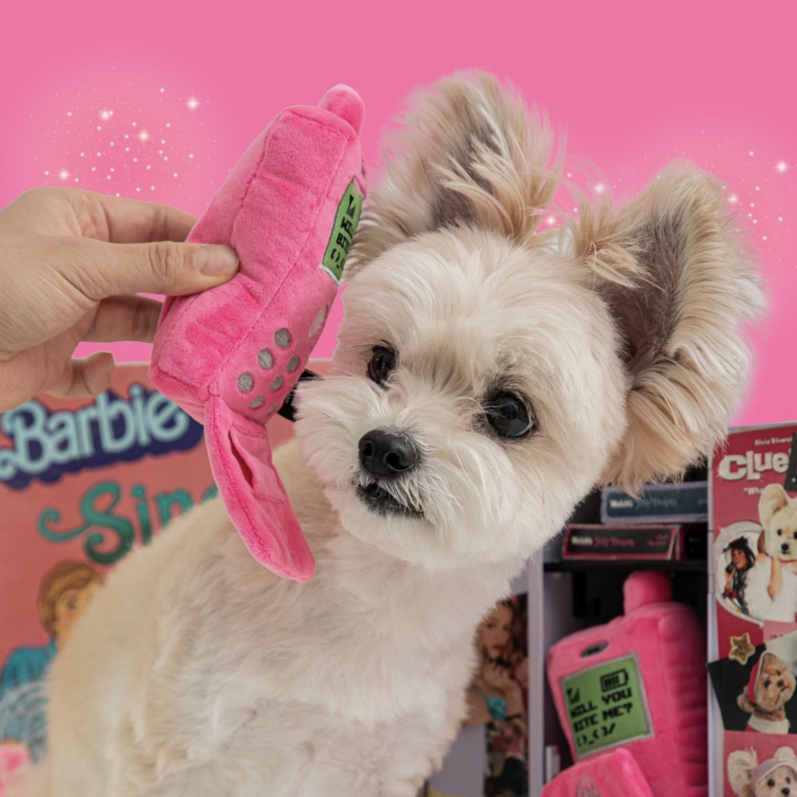 Pet Toy