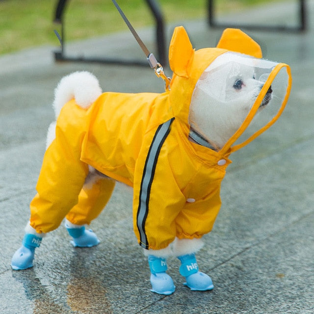 Pet Shoes