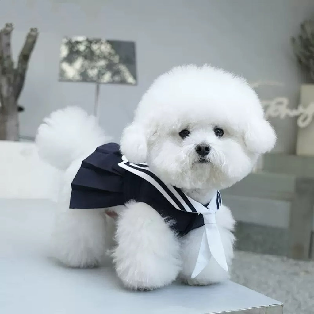 Navy Pattern Design Dog Cat Dress/Vest