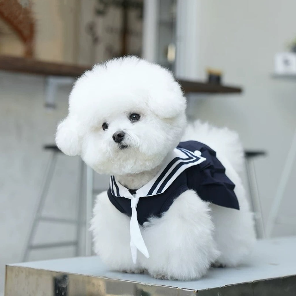 Navy Pattern Design Dog Cat Dress/Vest