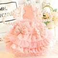 Little Heart Dog Cat Lace Layered Dress