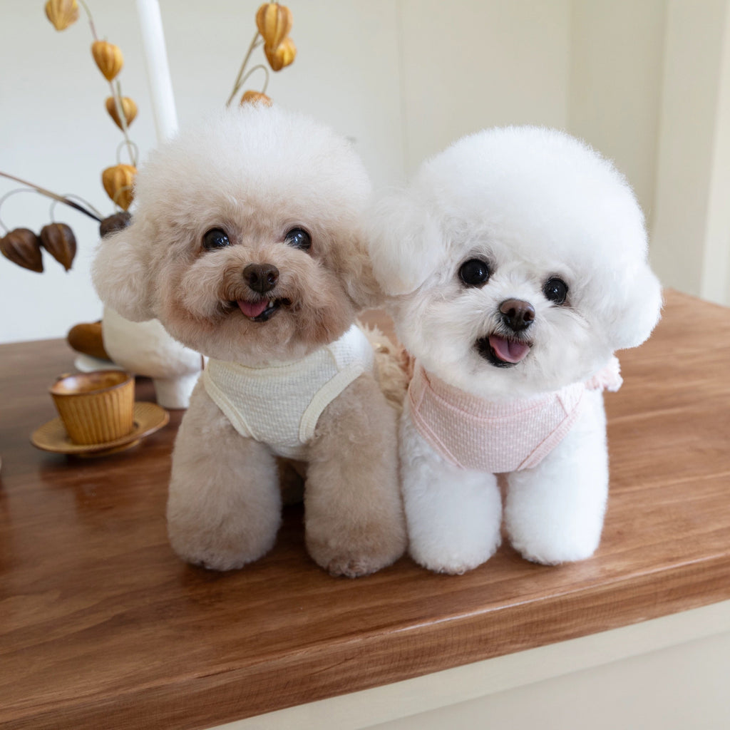 Elegant Sequin Dog Cat Dress Coat