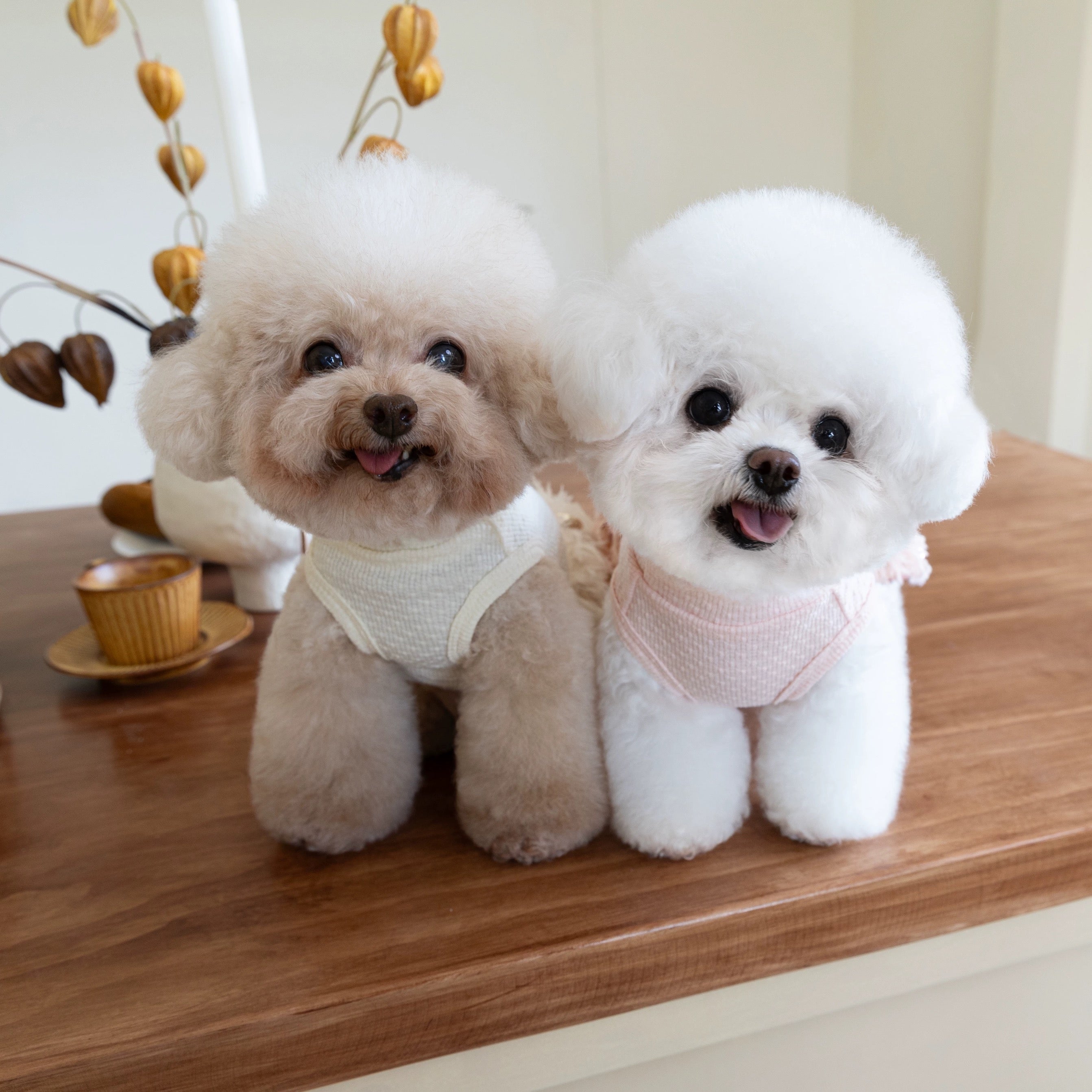 Elegant Sequin Dog Cat Dress Coat