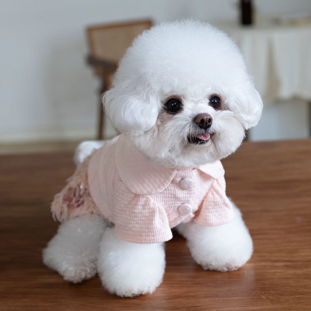 Elegant Sequin Dog Cat Dress Coat