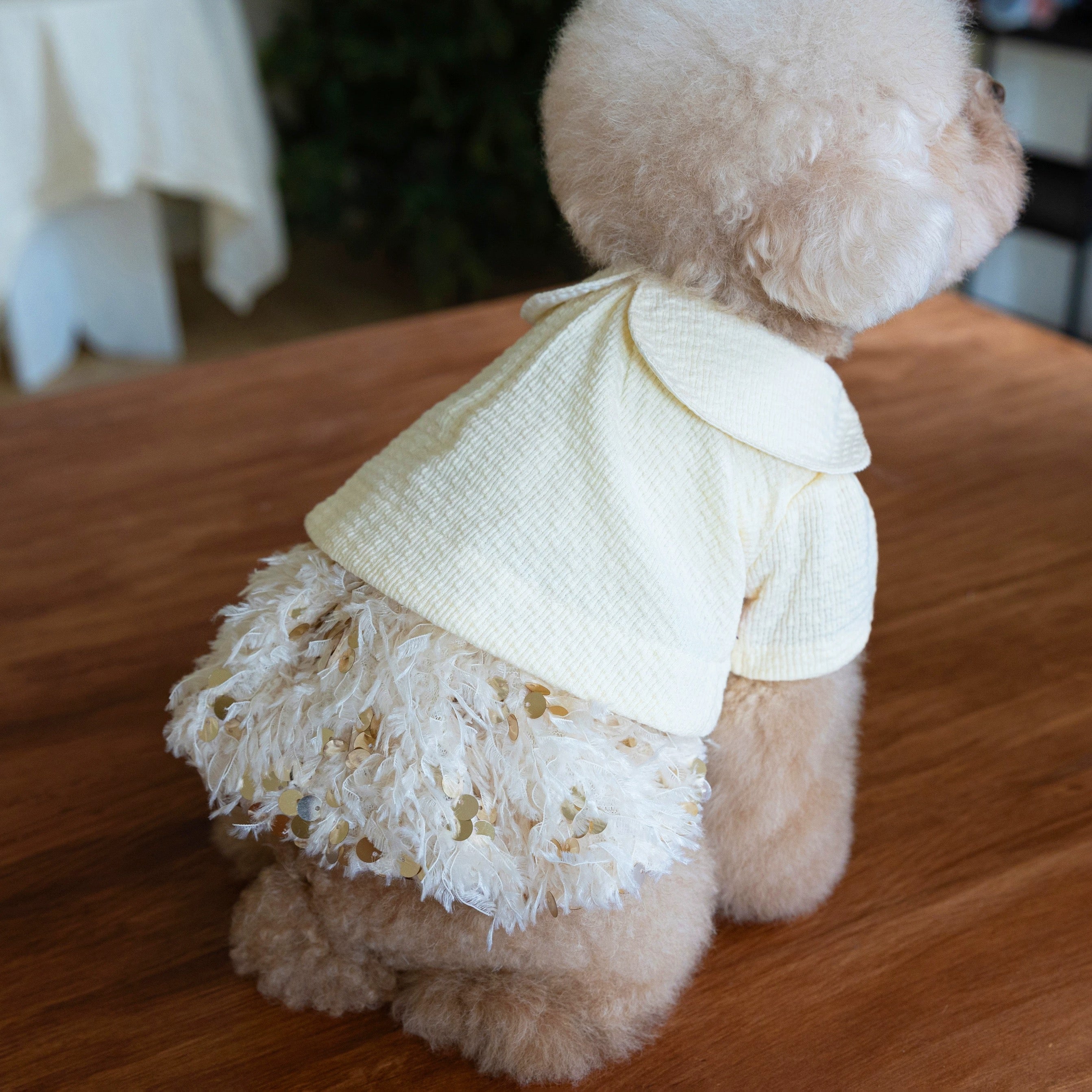 Elegant Sequin Dog Cat Dress Coat