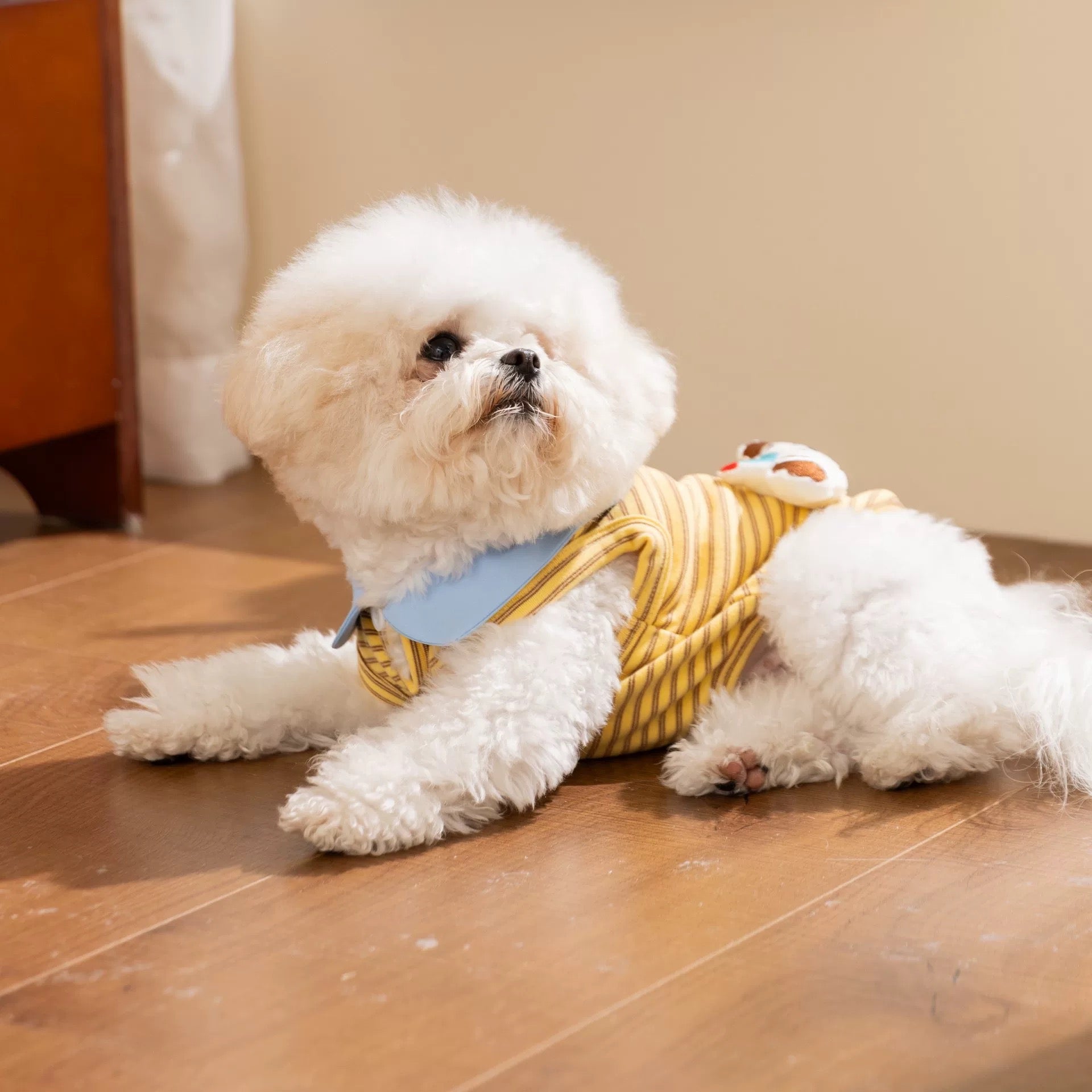 Toy Decor Striped Collar Dog Cat Vest