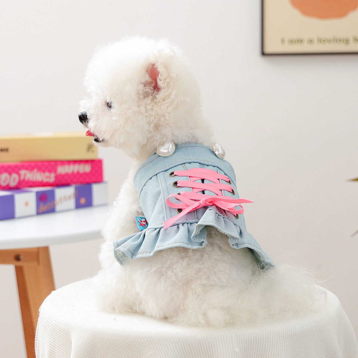 Sweet Lace-up Bow Heart Decor Dog Cat Jacket Dress