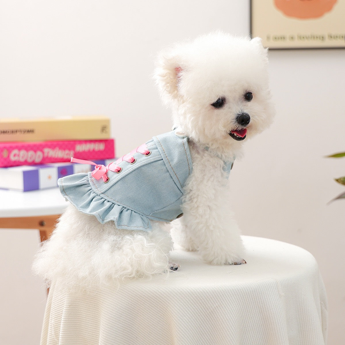 Sweet Lace-up Bow Heart Decor Dog Cat Jacket Dress