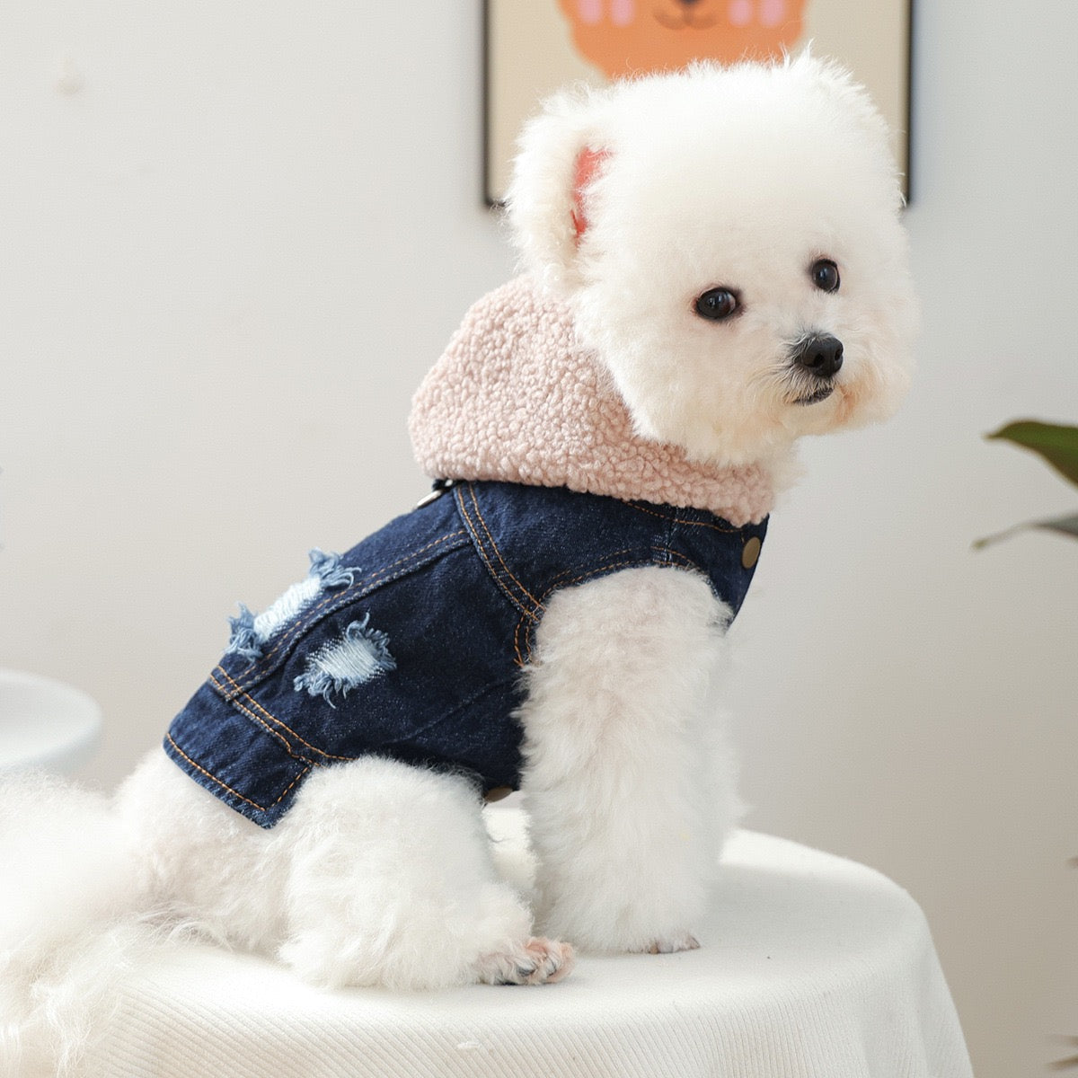 Knitted Hooded Denim Dog Cat Jacket