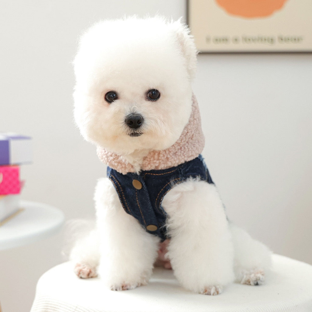 Knitted Hooded Denim Dog Cat Jacket