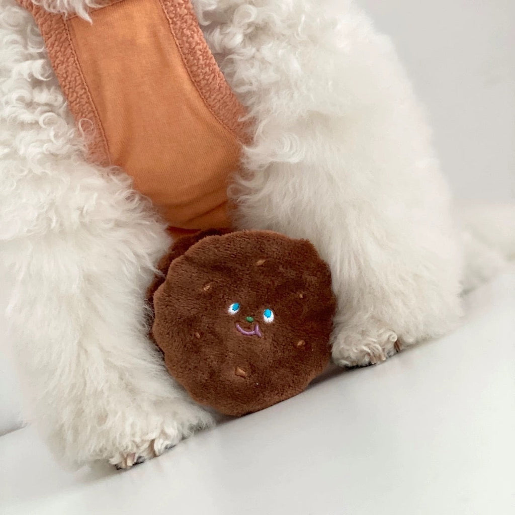 Cheese&Cookie Squeaky Dog Toys