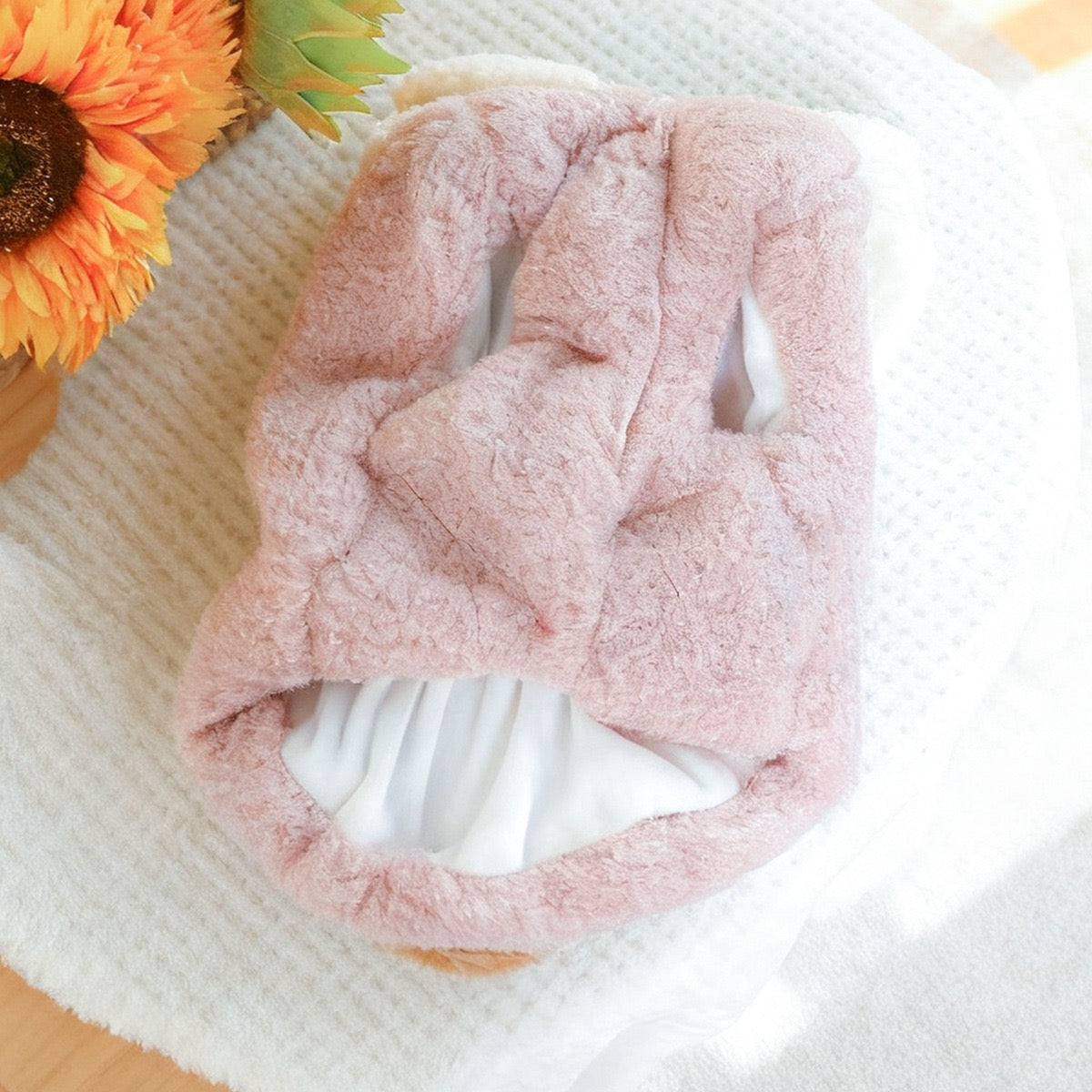 Warm Fleece Rabbit Hooded Dog Cat Hoodie