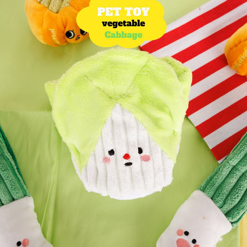Cabbage/Scallions/Pumpkin Squeaky Dog Toy