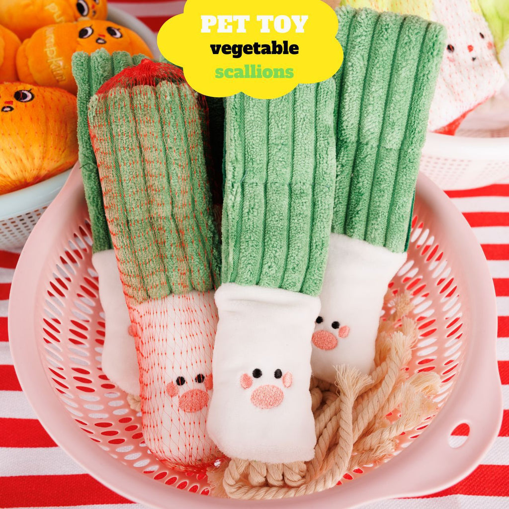 Cabbage/Scallions/Pumpkin Squeaky Dog Toy