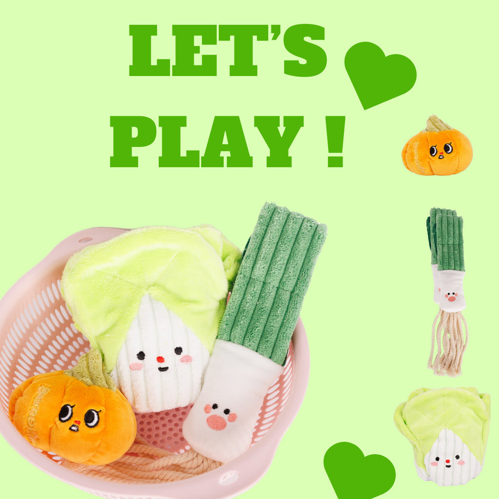 Cabbage/Scallions/Pumpkin Squeaky Dog Toy