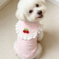 Sweet Collar Decor Heart Dog Cat Vest