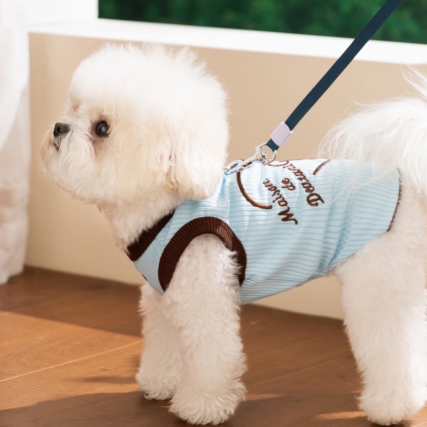 Color Block Bear Heart Dog Cat Vest