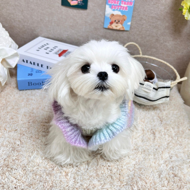 Tulip Decor Gradient Dog Cat Knitted Dress