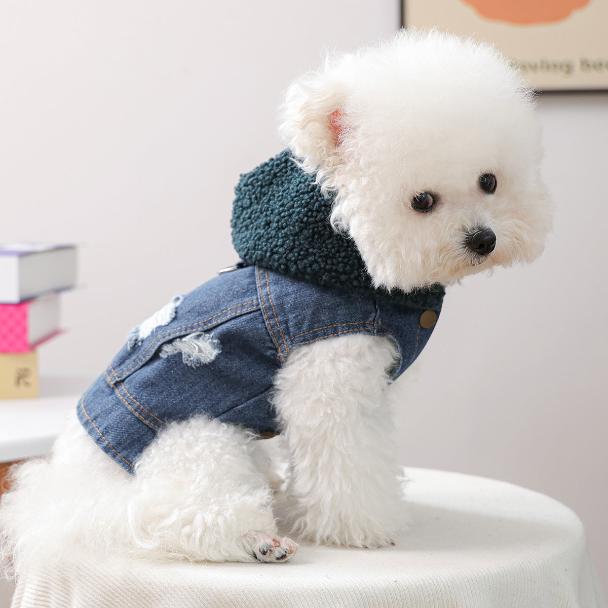 Knitted Hooded Denim Dog Cat Jacket