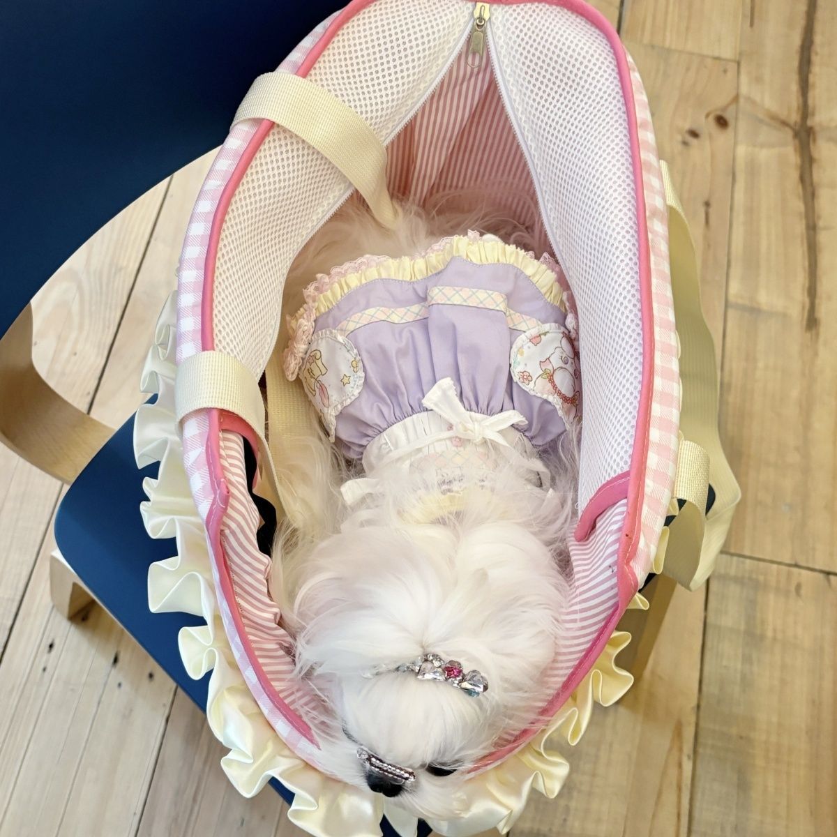 Cartoon Plaid Printed Dog Cat Carrier Bag