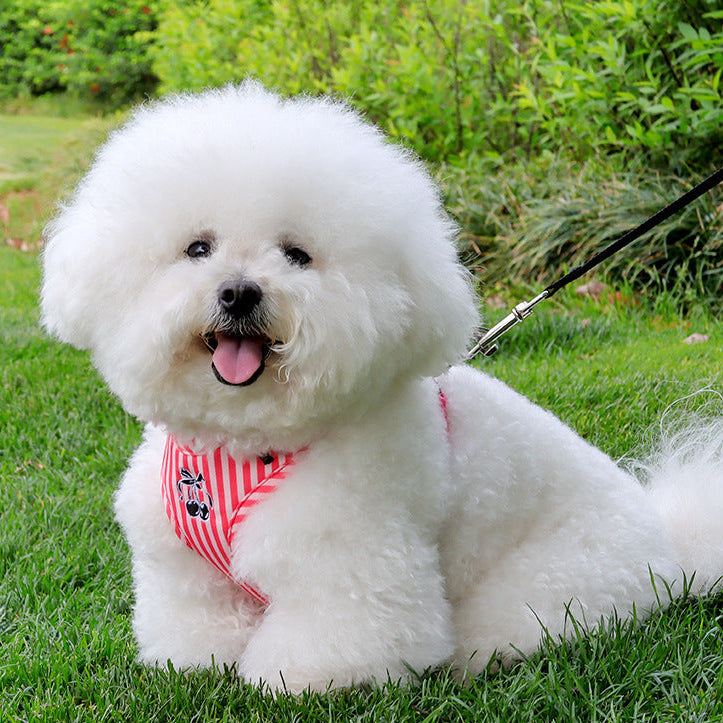Cherry Striped Color Block Harness