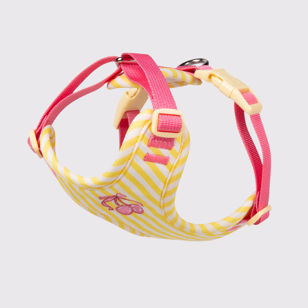 Cherry Striped Color Block Harness