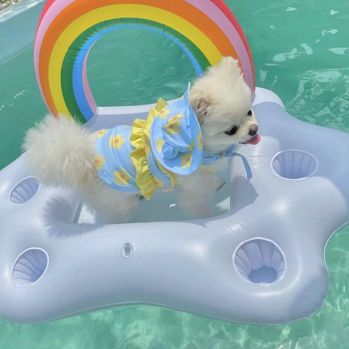 Summer Floral Dog Bikini with Hat