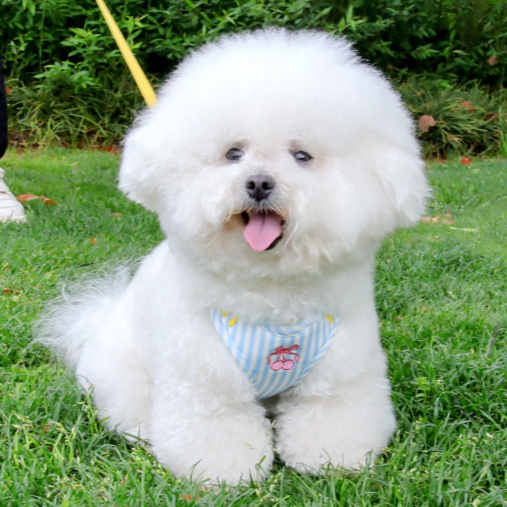 Cherry Striped Color Block Harness