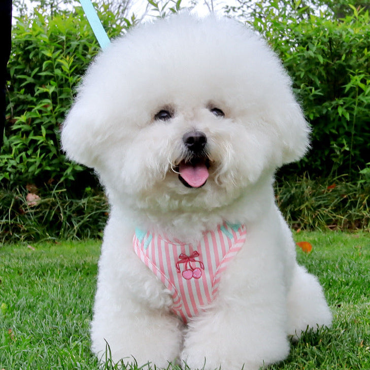 Cherry Striped Color Block Harness