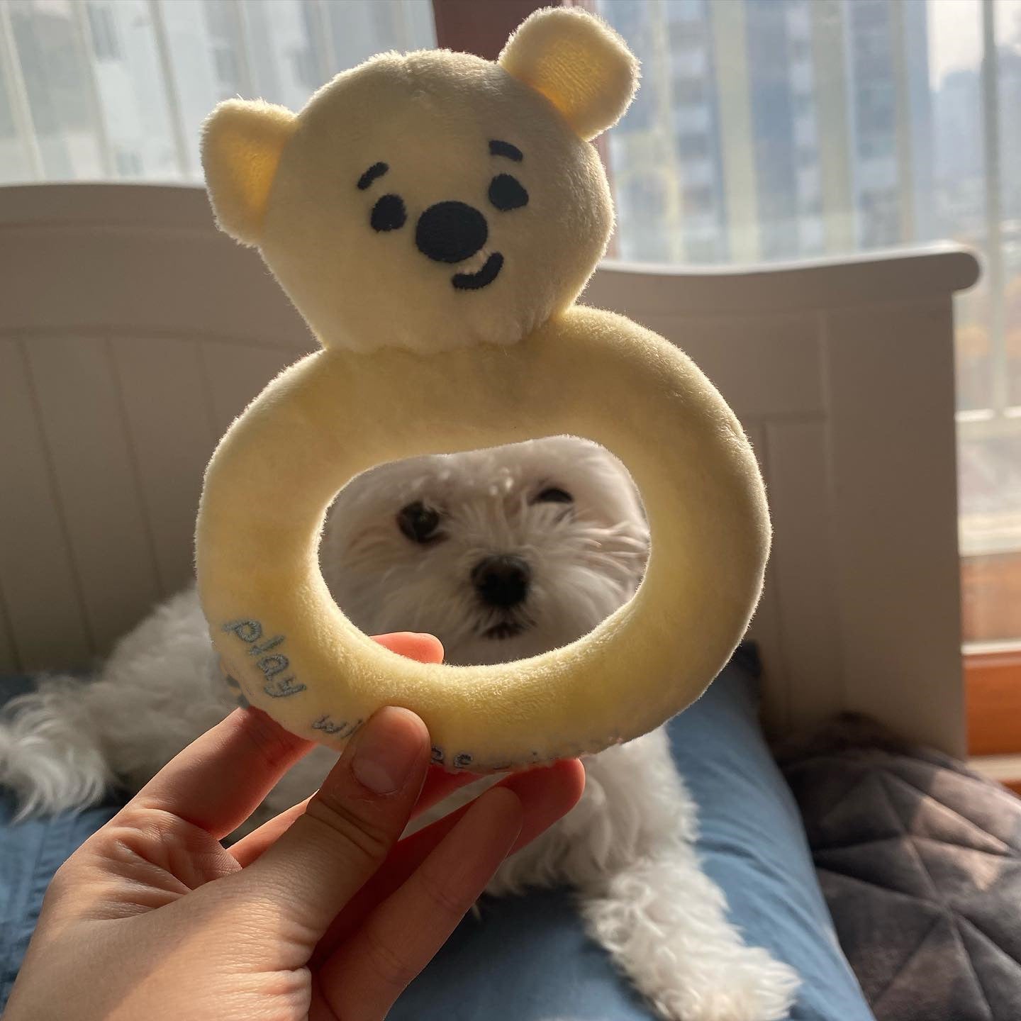 Cute Baby Bottle/Pacifier/Rattle Dog Toy