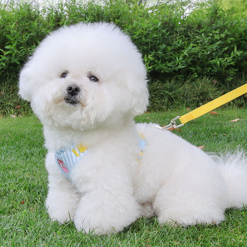 Cherry Striped Color Block Harness