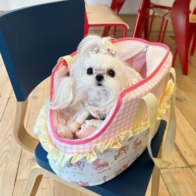 Cartoon Plaid Printed Dog Cat Carrier Bag