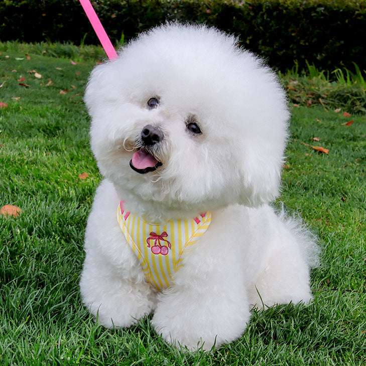 Cherry Striped Color Block Harness