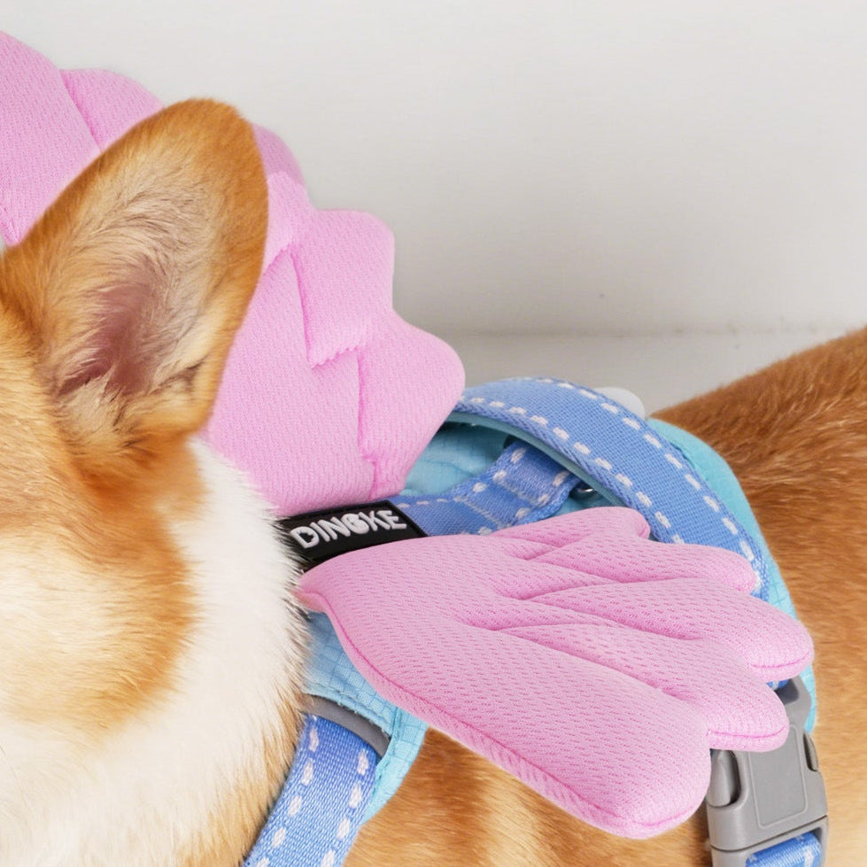 Color Block Wing Decor Dog Harness Leash