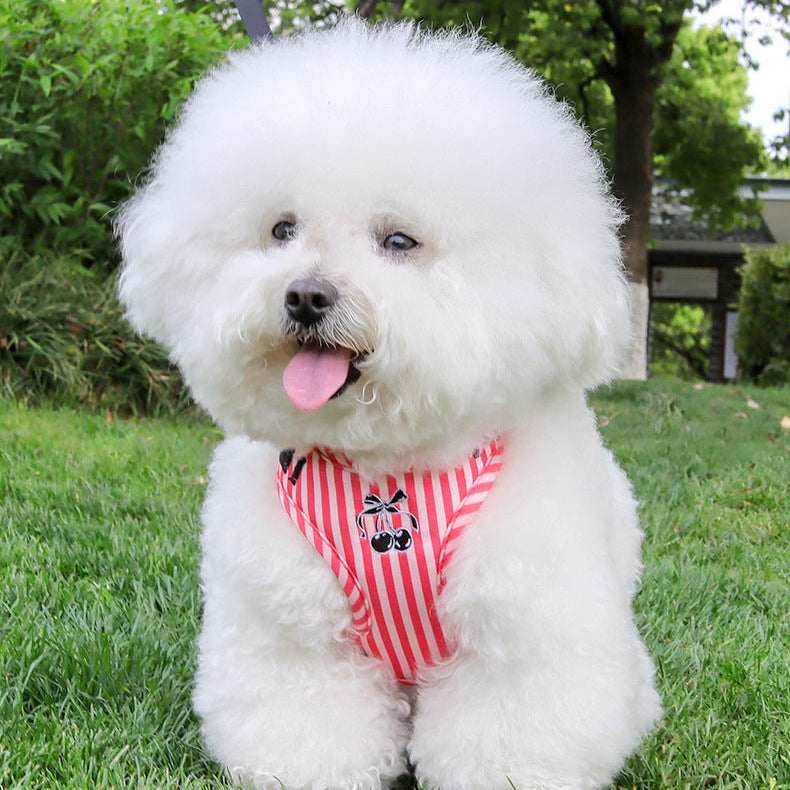 Cherry Striped Color Block Harness