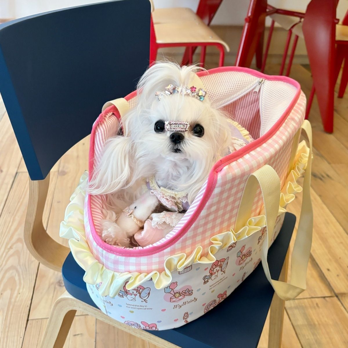 Cartoon Plaid Printed Dog Cat Carrier Bag