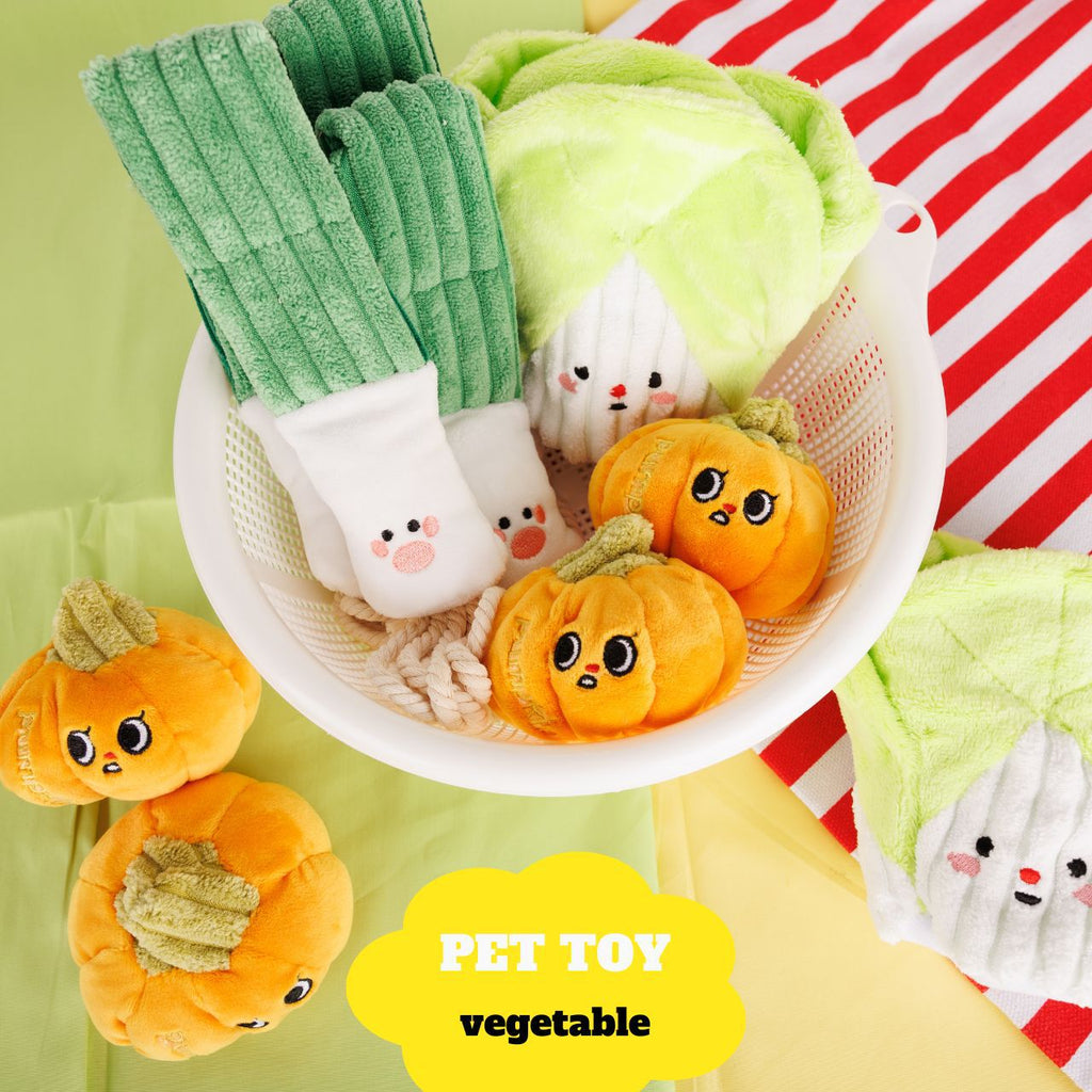 Cabbage/Scallions/Pumpkin Squeaky Dog Toy