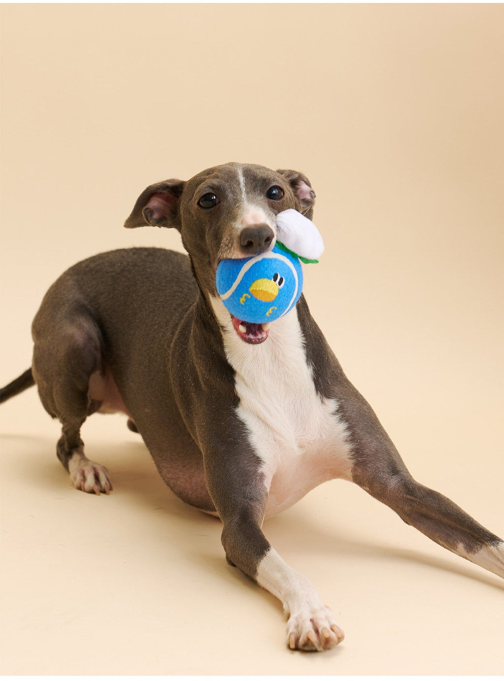 Zeze Soft Tennis Squeaky Ball