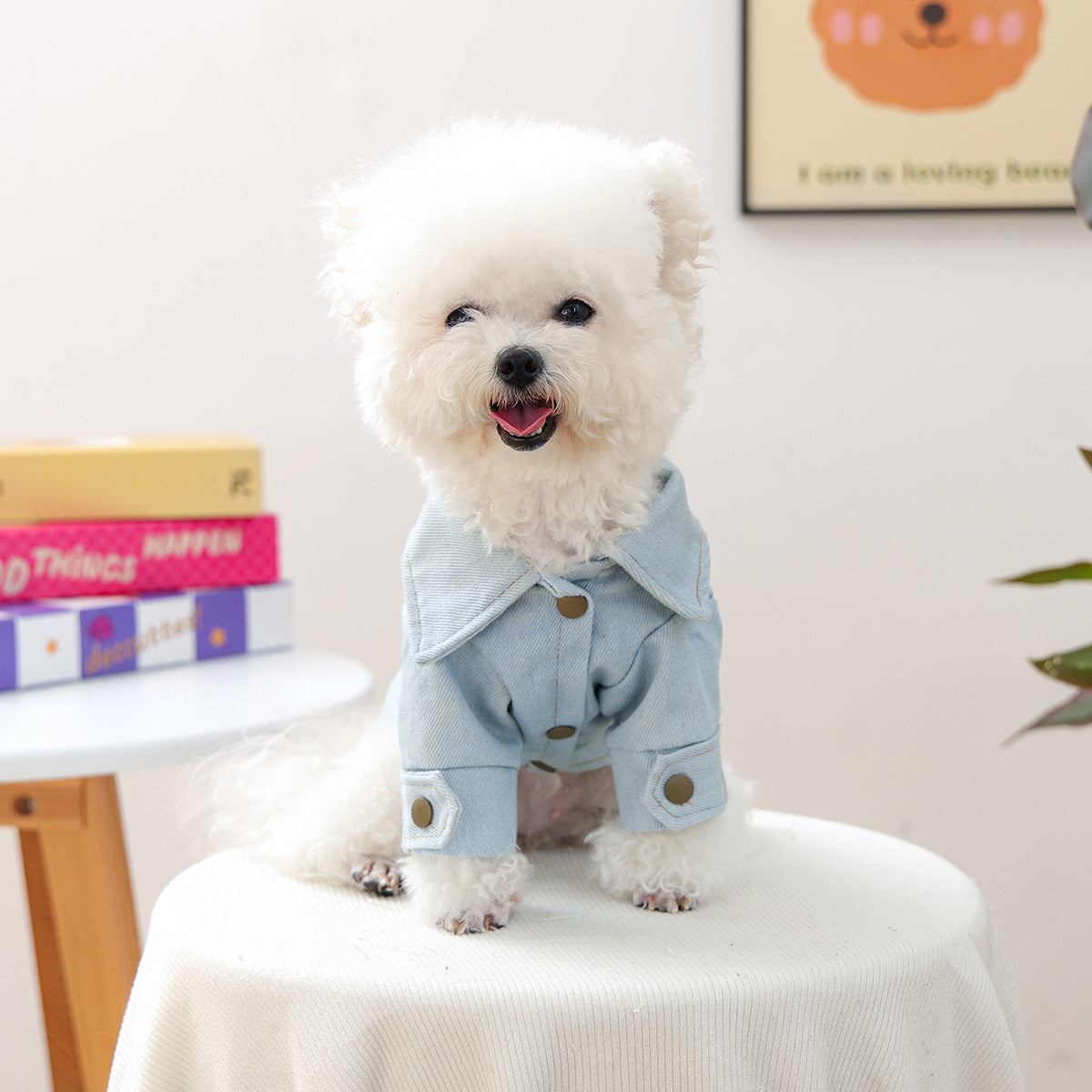Sweet Lace-up Bow Heart Decor Dog Cat Jacket Dress