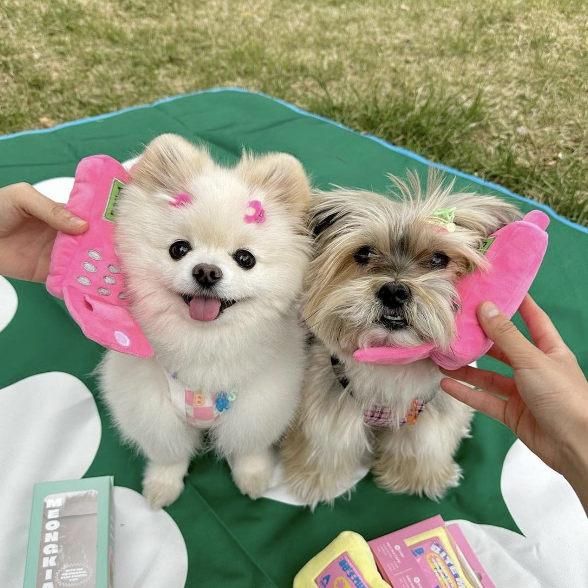 Cellphone Pattern Squeaky Dog Toy
