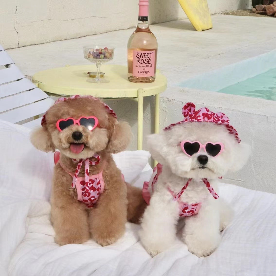 Summer Floral Dog Bikini with Hat