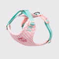 Cherry Striped Color Block Harness