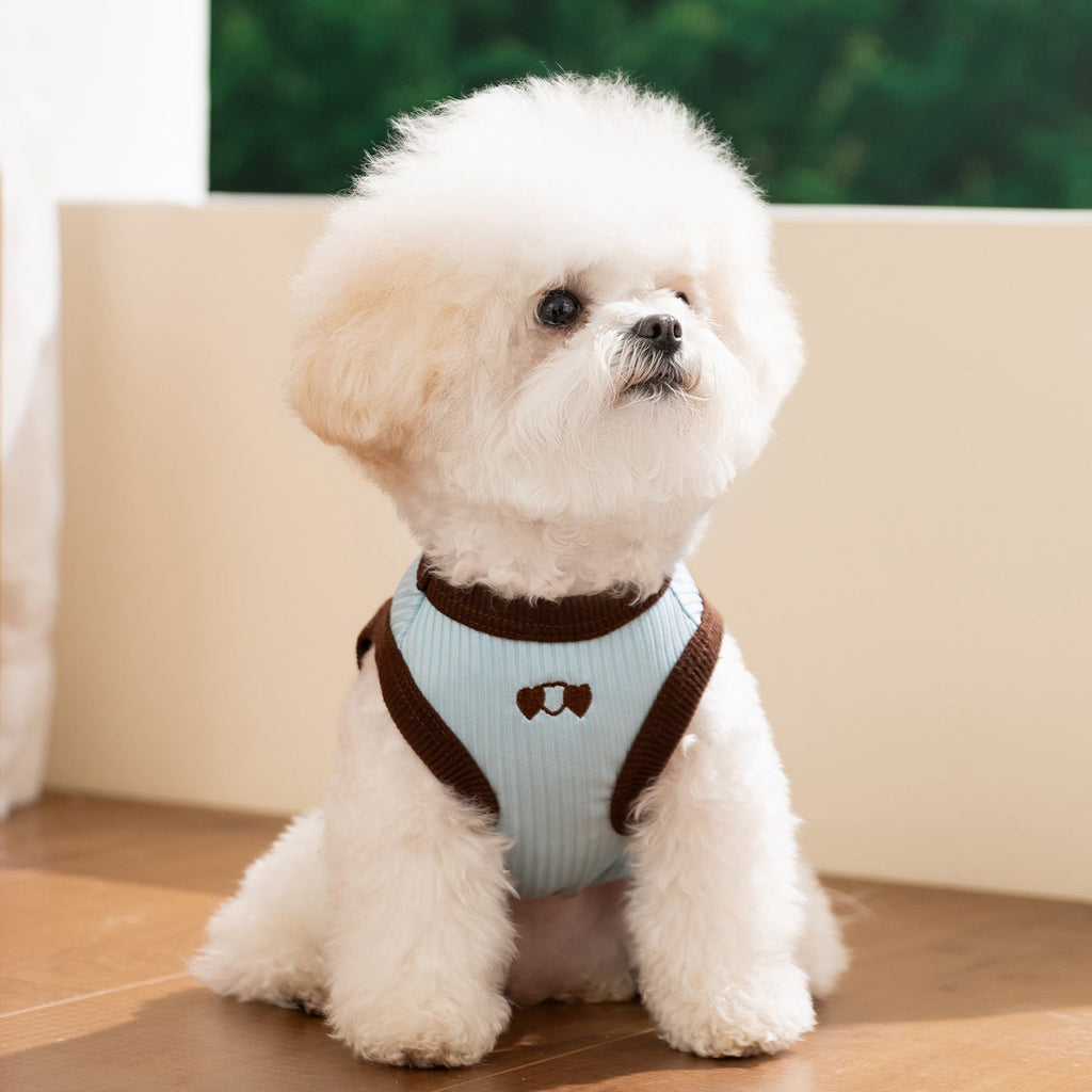 Color Block Bear Heart Dog Cat Vest