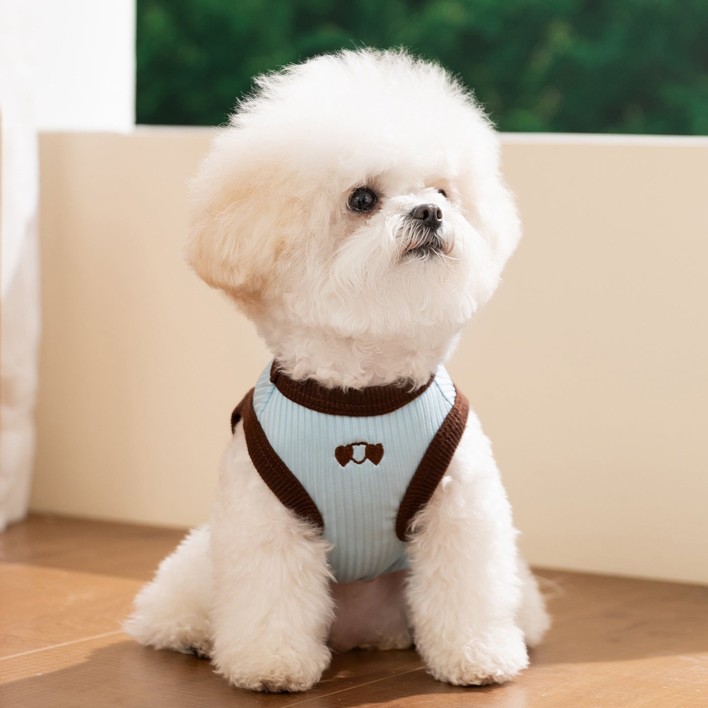 Color Block Bear Heart Dog Cat Vest