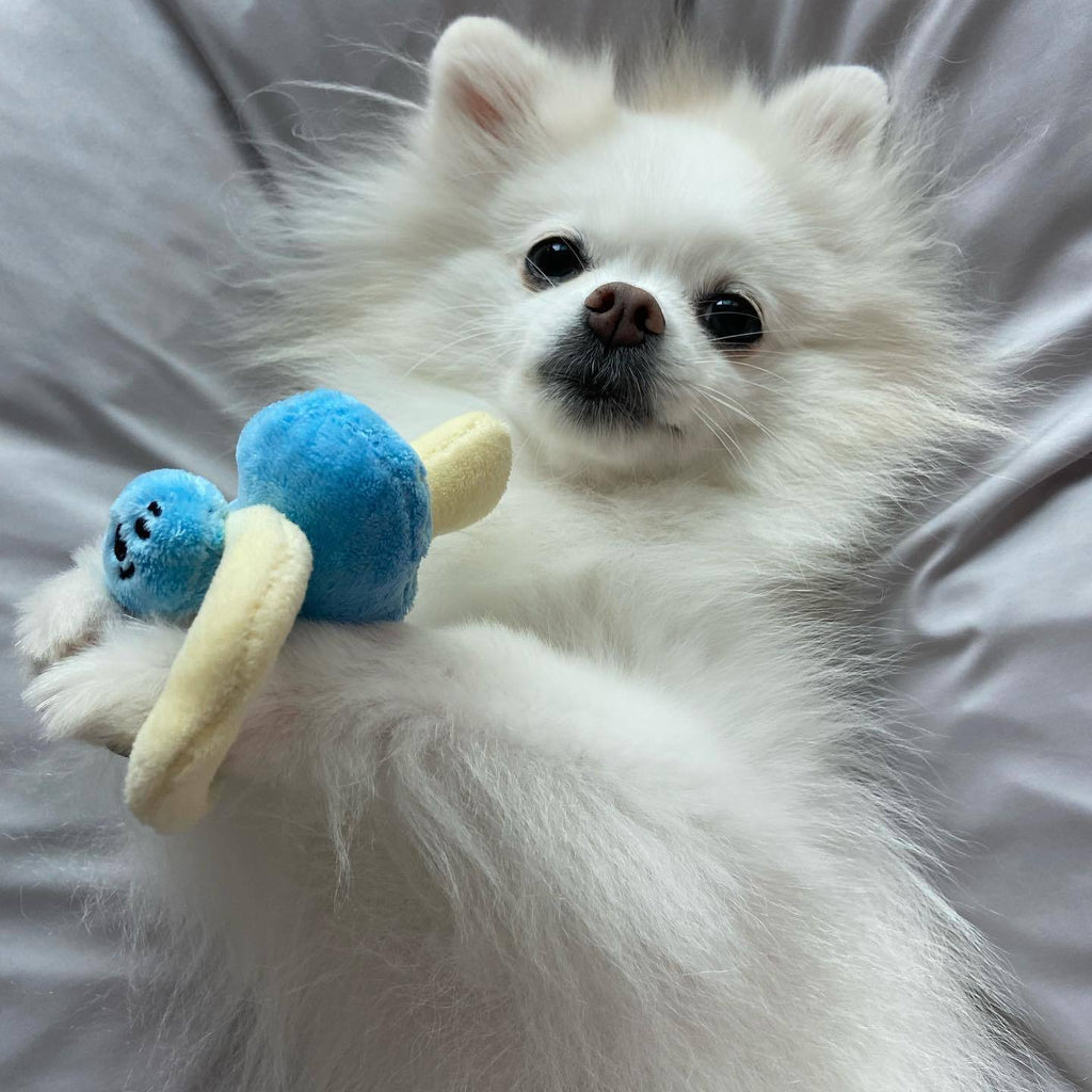 Cute Baby Bottle/Pacifier/Rattle Dog Toy