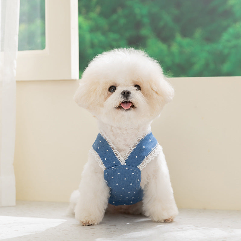 Polka Dot Lace Design Denim Dog Cat Dress