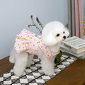 Flower Decor Carrot Dog Cat Dress Harness