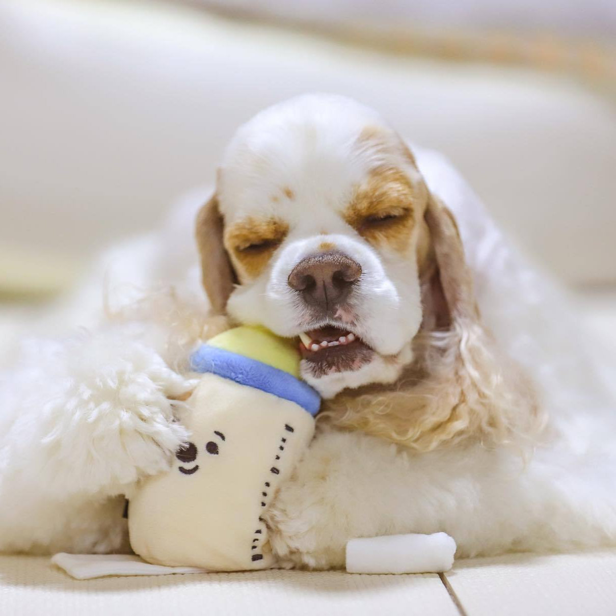 Cute Baby Bottle/Pacifier/Rattle Dog Toy