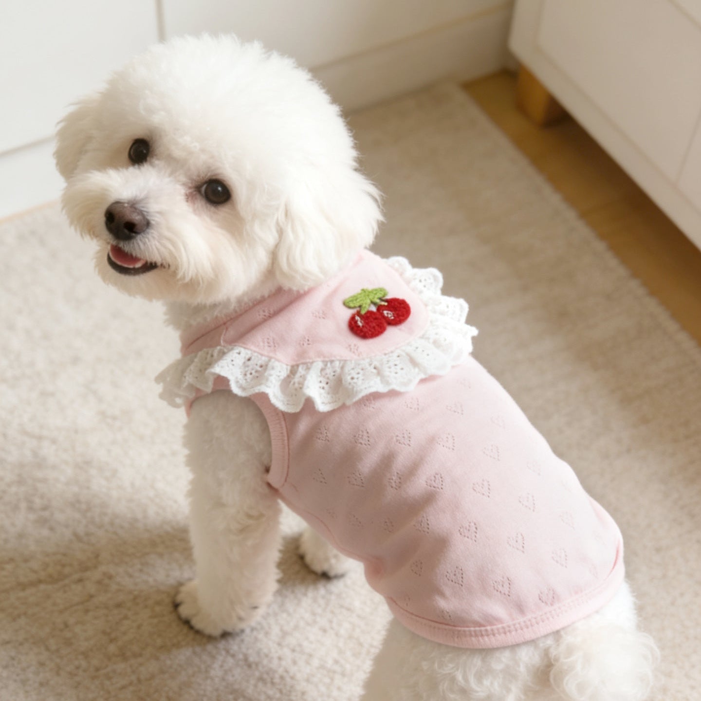Sweet Collar Decor Heart Dog Cat Vest