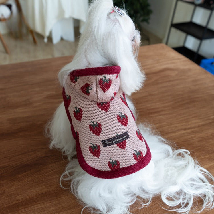 Strawberry Printed Hooded Dog Cat Cape